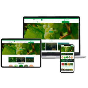 طراحی سایت فروشگاه محصولات کشاورزی کلوس